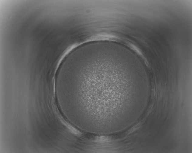 X0000080201275200612152031