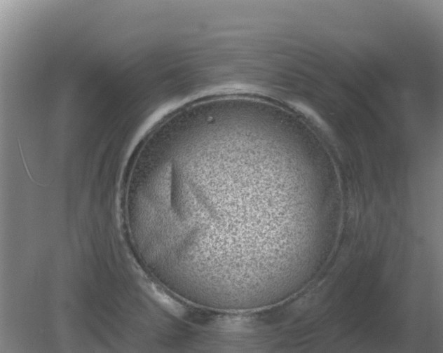 X0000080201278200612152031