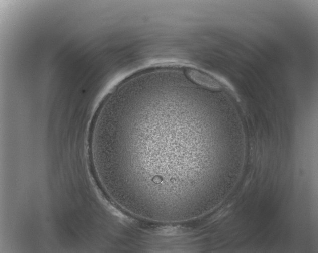 X0000080201279200612152030