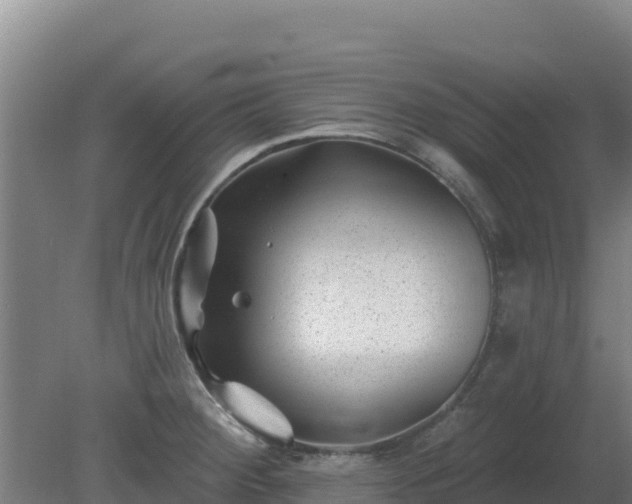 X0000080201284200612152030