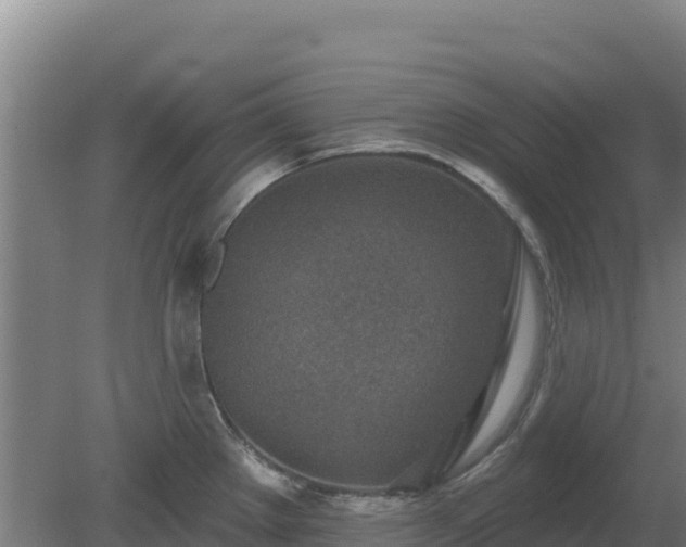 X0000080201289200612152030