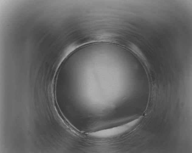 X0000080201291200612152030