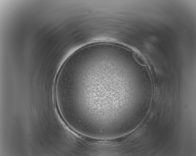 X0000080201295200612152030