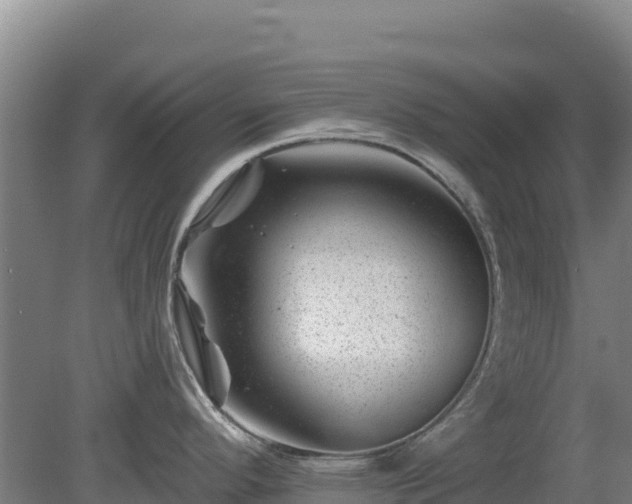 X0000080201296200612152030