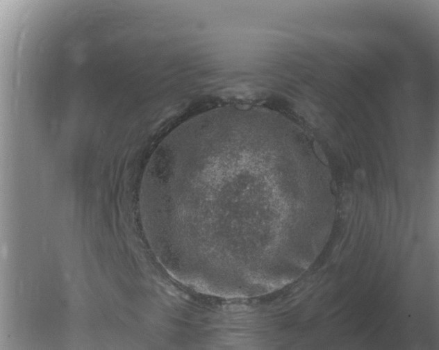 X0000080201297200612152029