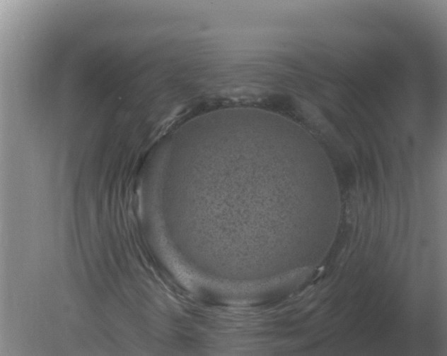 X0000080201298200612152029