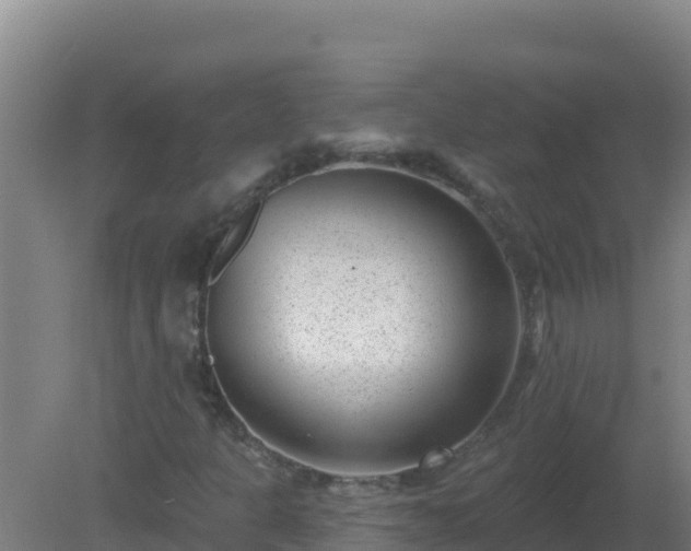 X0000080201301200612152029