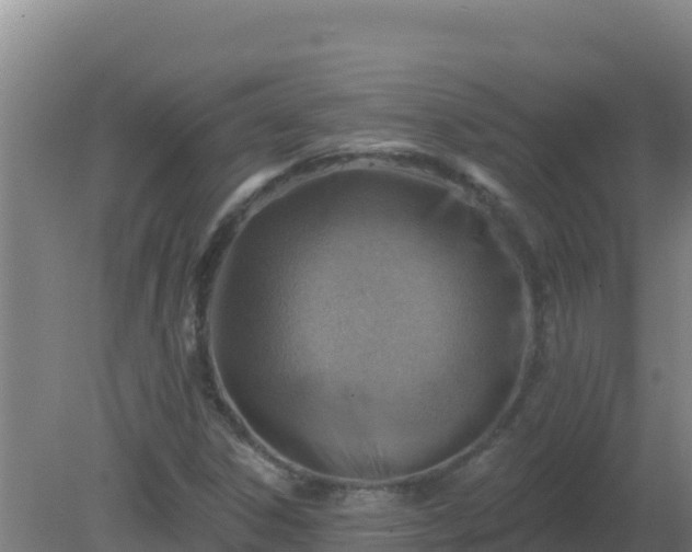 X0000080201306200612152030