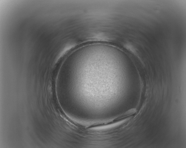 X0000080201307200612152030