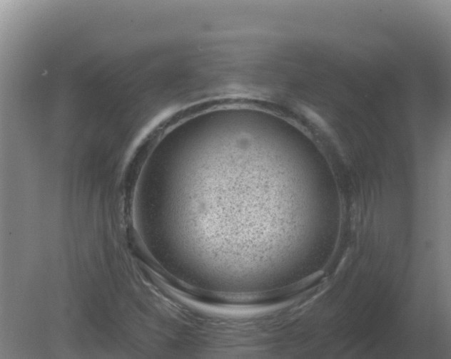 X0000080201310200612152030