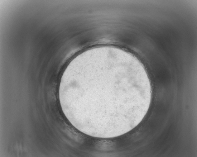 X0000080201314200612152030