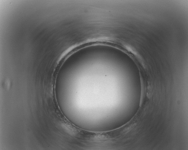 X0000080201316200612152030