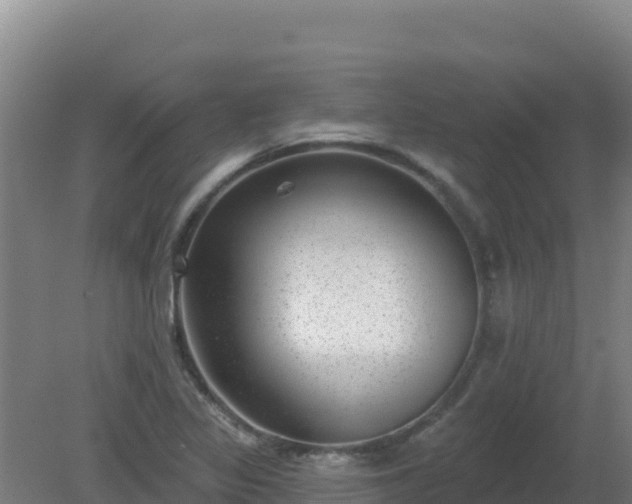 X0000080201317200612152030