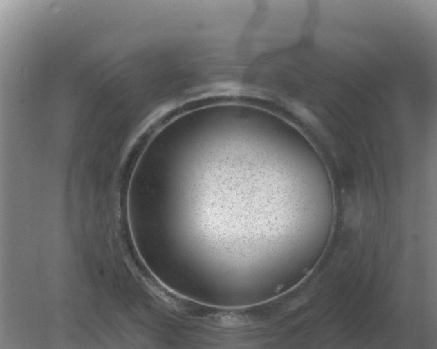 X0000080201318200612152030