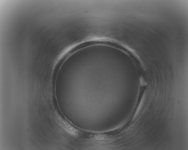 X0000080201319200612152030