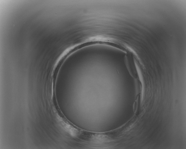 X0000080201323200612152030