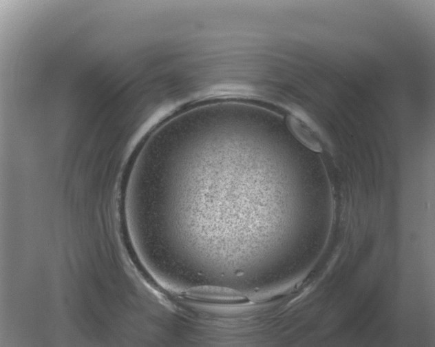 X0000080201325200612152030