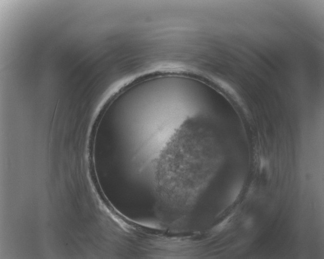 X0000080201327200612152030