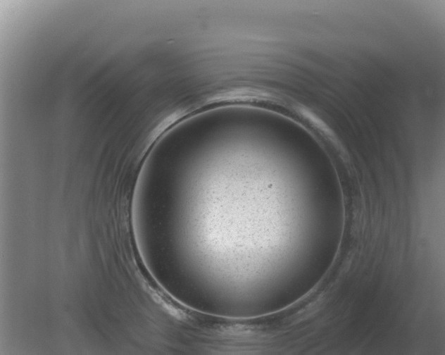 X0000080201329200612152030