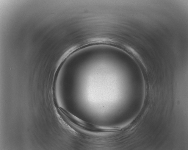 X0000080201330200612152030