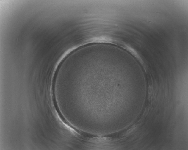 X0000080201331200612152030