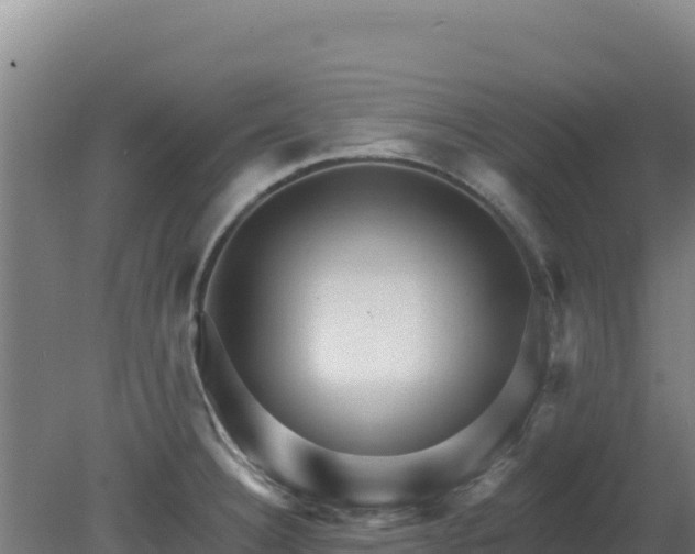 X0000080201332200612152030