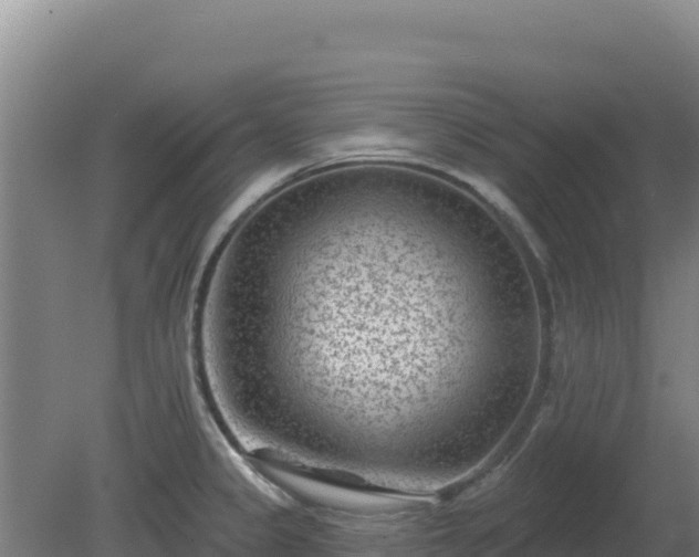 X0000080201333200612152030