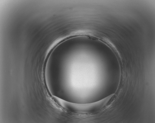 X0000080201336200612152030