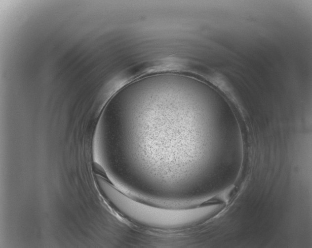 X0000080201337200612152030