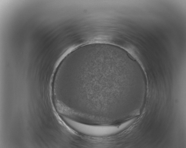 X0000080201341200612152030