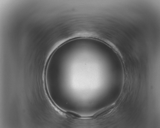 X0000080201343200612152030