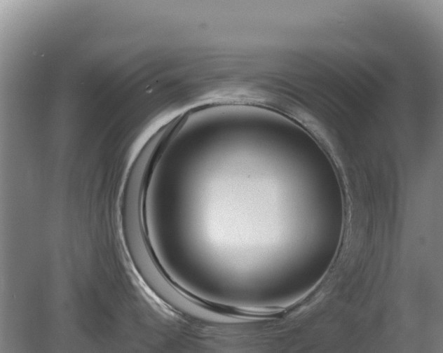 X0000080201344200612152030