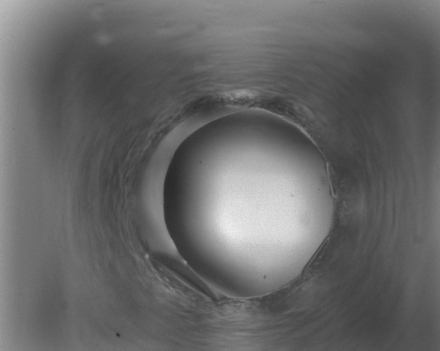 X0000080201345200612152029