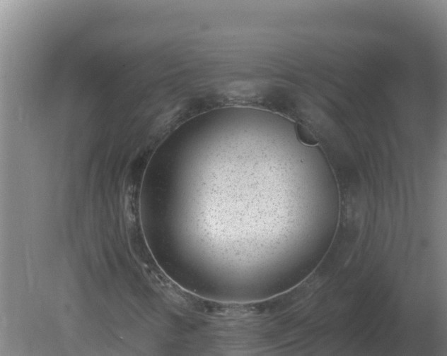 X0000080201346200612152029