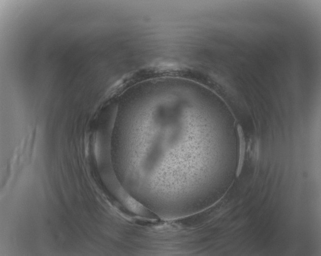 X0000080201348200612152029