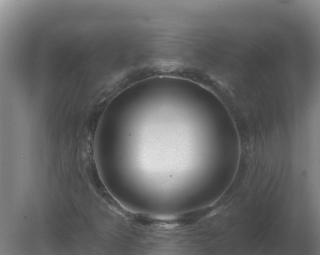 X0000080201349200612152029