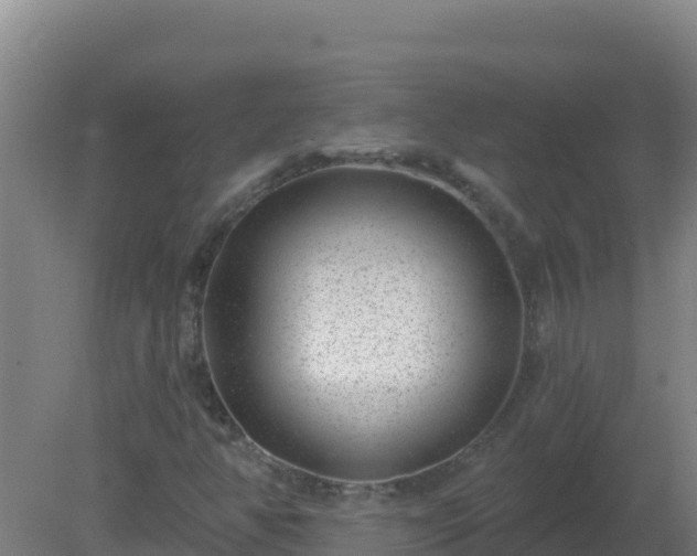 X0000080201350200612152029