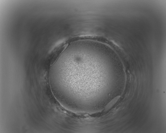 X0000080201351200612152029