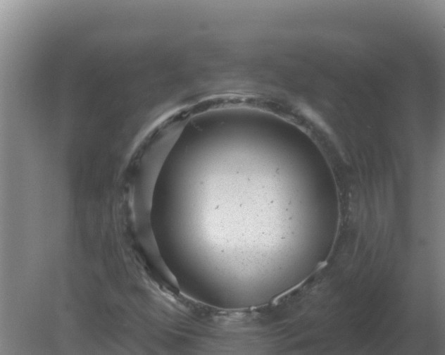 X0000080201352200612152029