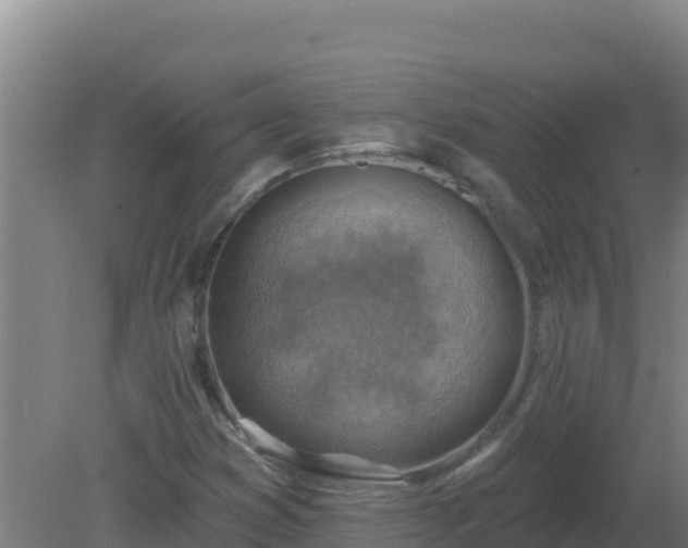 X0000080201353200612152029