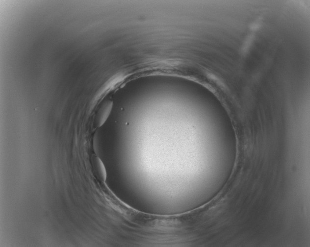 X0000080201354200612152029