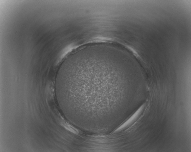 X0000080201355200612152029