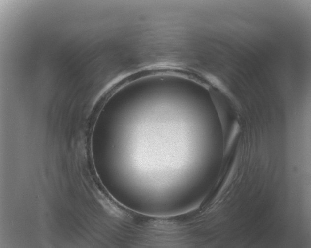 X0000080201356200612152029