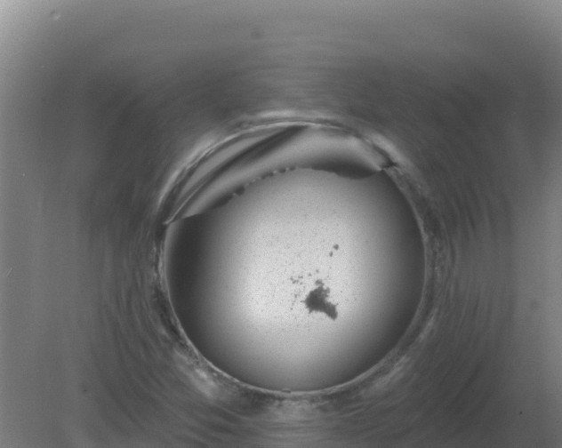 X0000080201357200612152029