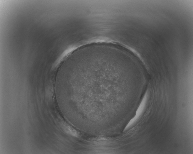 X0000080201359200612152029