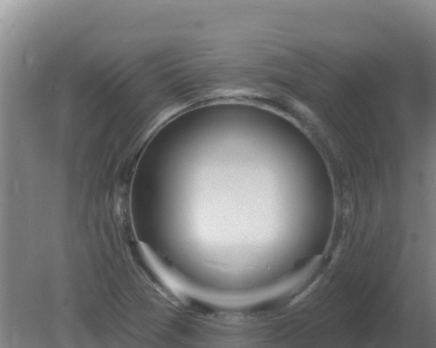 X0000080201361200612152029