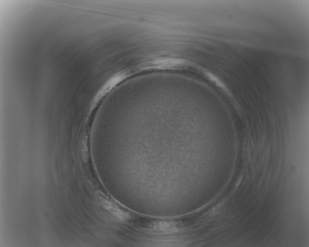 X0000080201362200612152029