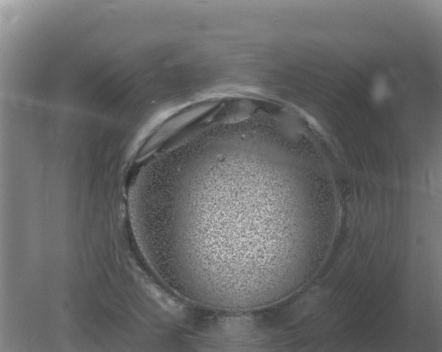 X0000080201363200612152029