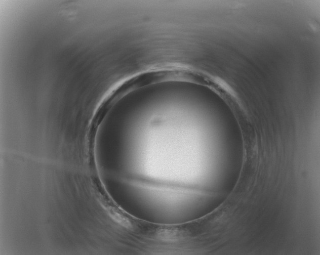 X0000080201364200612152029