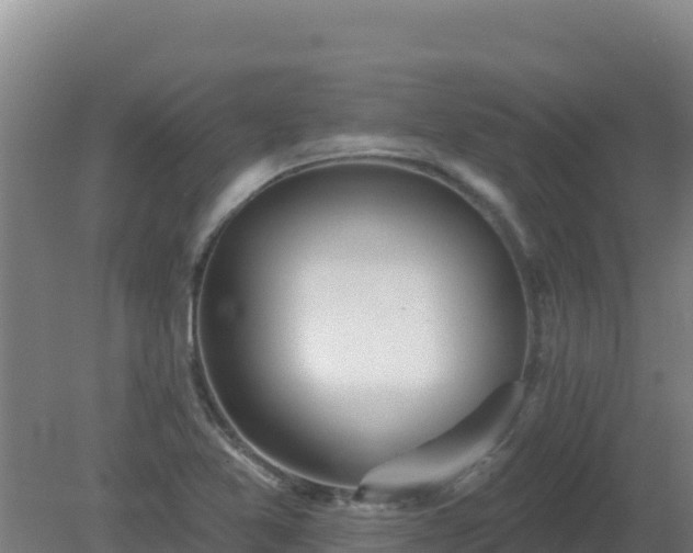 X0000080201365200612152029